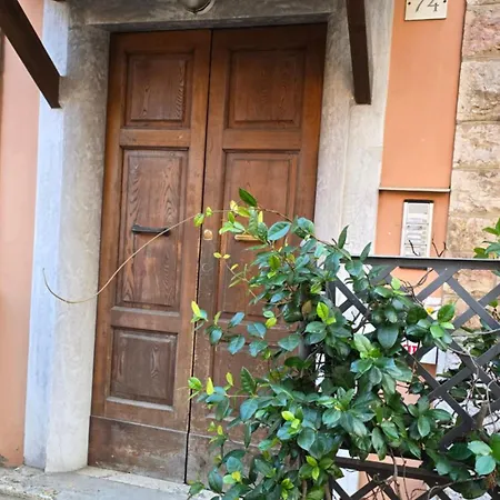 Mimi Alle Magnolie - Cozy In Perugia Апартаменты Понте-Сан-Джованни